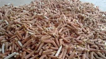 粒收1号玉米种简介_大量收购玉米粒的钢结构大棚图片_粒收1号玉米种审定公告